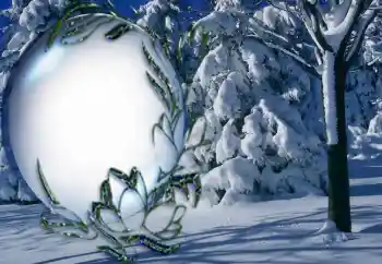 Fotografický efekt z kategorie Zima № 5464 Fotografický efekt z kategorie Zima № 5464