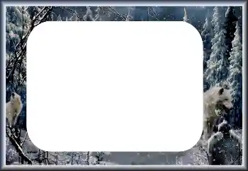 Fotografický efekt z kategorie Zima № 60435