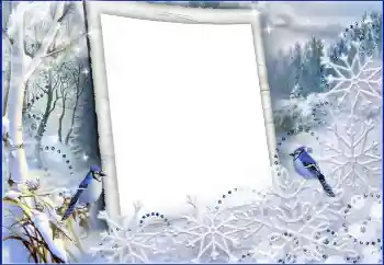 Fotografický efekt z kategorie Zima № 60441