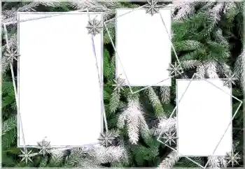 Fotografický efekt z kategorie Zima № 64393