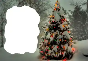 Fotografický efekt z kategorie Zima № 65514