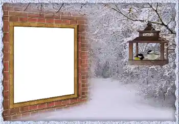 Fotografický efekt z kategorie Zima № 65557