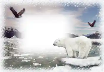 Fotografický efekt z kategorie Zima № 67044