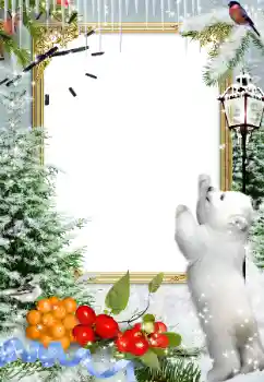 Fotografický efekt z kategorie Zima № 81677