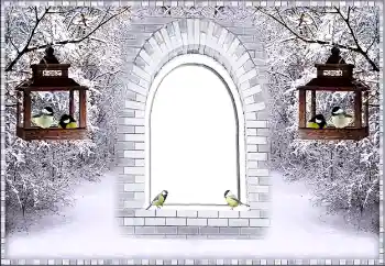 Fotografický efekt z kategorie Zima № 87926