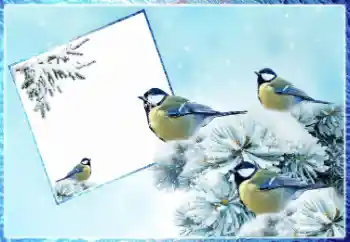 Fotografický efekt z kategorie Zima № 87962