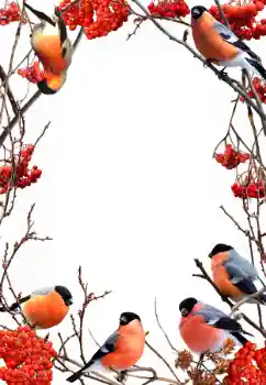 Fotografický efekt z kategorie Zima № 90578 Fotografický efekt z kategorie Zima № 90578