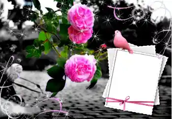 Fotografický efekt z kategorie Svatební rámečky № 12847