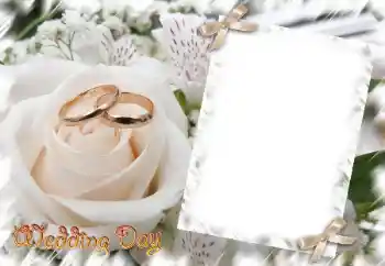Fotografický efekt z kategorie Svatební rámečky № 31729. Nápis na rámečku: Wedding Day