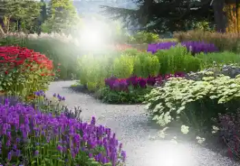 Fotografický efekt z kategorie Ženské fotorámečky № 101176