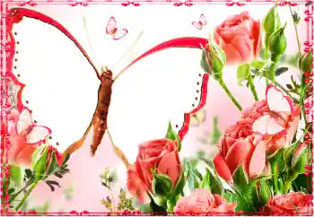 Fotografický efekt z kategorie Ženské fotorámečky № 103883