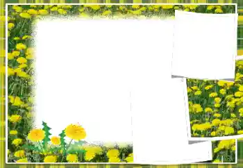 Fotografický efekt z kategorie Ženské fotorámečky № 103949