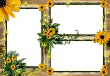 Fotografický efekt z kategorie Ženské fotorámečky № 104030