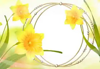 Fotografický efekt z kategorie Ženské fotorámečky № 105478