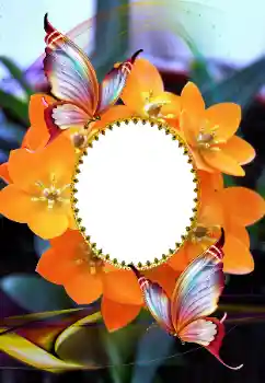 Fotografický efekt z kategorie Ženské fotorámečky № 105575