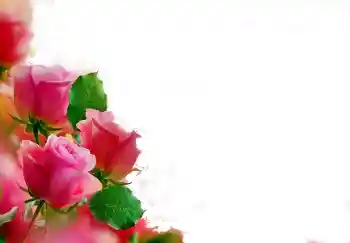 Fotografický efekt z kategorie Ženské fotorámečky № 112139