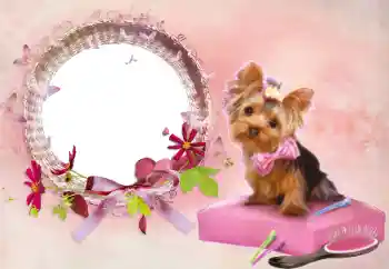 Fotografický efekt z kategorie Ženské fotorámečky № 112337