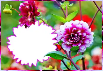 Fotografický efekt z kategorie Ženské fotorámečky № 112519