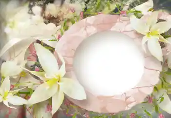 Fotografický efekt z kategorie Ženské fotorámečky № 114219