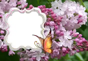 Fotografický efekt z kategorie Ženské fotorámečky № 114264