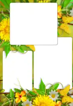 Fotografický efekt z kategorie Ženské fotorámečky № 114738