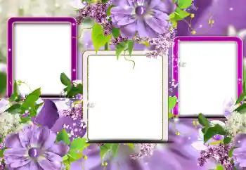 Fotografický efekt z kategorie Ženské fotorámečky № 116124