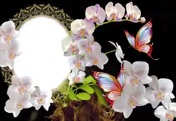 Fotografický efekt z kategorie Ženské fotorámečky № 117349