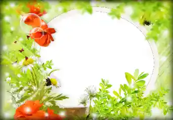 Fotografický efekt z kategorie Ženské fotorámečky № 121087