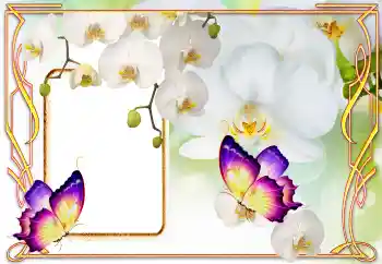 Fotografický efekt z kategorie Ženské fotorámečky № 123218