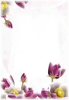 Fotografický efekt z kategorie Ženské fotorámečky № 124368