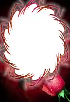 Fotografický efekt z kategorie Ženské fotorámečky № 125687