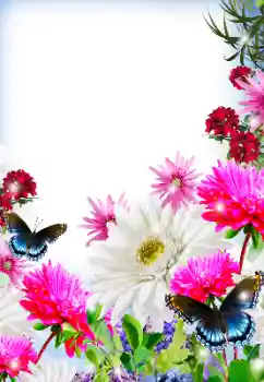 Fotografický efekt z kategorie Ženské fotorámečky № 125845