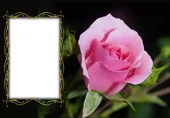 Fotografický efekt z kategorie Ženské fotorámečky № 126936