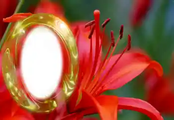 Fotografický efekt z kategorie Ženské fotorámečky № 126945