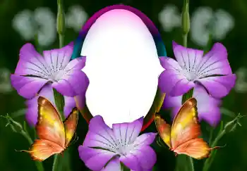 Fotografický efekt z kategorie Ženské fotorámečky № 126946