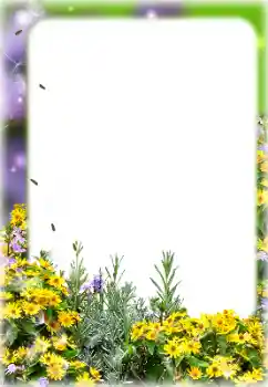 Fotografický efekt z kategorie Ženské fotorámečky № 127113