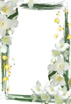 Fotografický efekt z kategorie Ženské fotorámečky № 127290