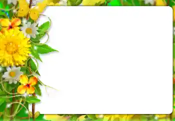 Fotografický efekt z kategorie Ženské fotorámečky № 127303