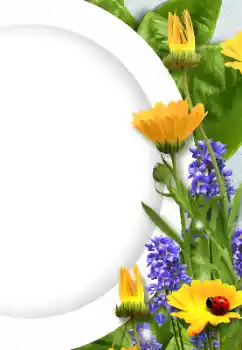 Fotografický efekt z kategorie Ženské fotorámečky № 128372