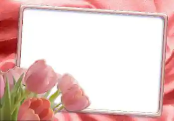Fotografický efekt z kategorie Ženské fotorámečky № 12865