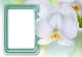 Fotografický efekt z kategorie Ženské fotorámečky № 131485