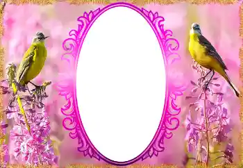 Fotografický efekt z kategorie Ženské fotorámečky № 132879