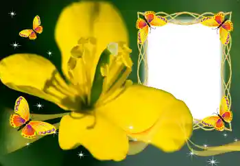 Fotografický efekt z kategorie Ženské fotorámečky № 132883