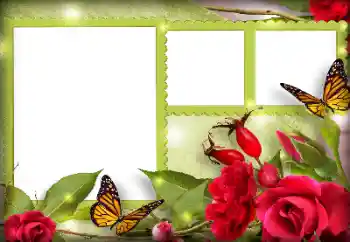 Fotografický efekt z kategorie Ženské fotorámečky № 134497