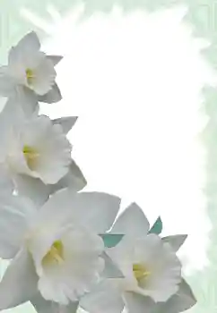 Fotografický efekt z kategorie Ženské fotorámečky № 13900
