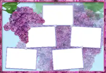 Fotografický efekt z kategorie Ženské fotorámečky № 13954