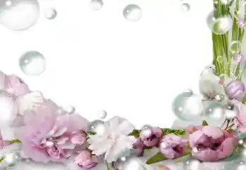 Fotografický efekt z kategorie Ženské fotorámečky № 139757