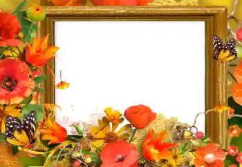 Fotografický efekt z kategorie Ženské fotorámečky № 139911