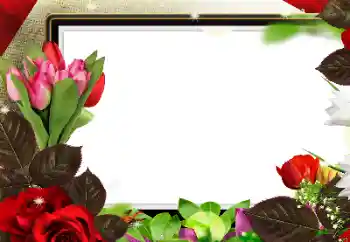 Fotografický efekt z kategorie Ženské fotorámečky № 139912