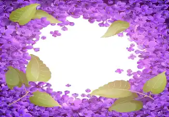 Fotografický efekt z kategorie Ženské fotorámečky № 141055